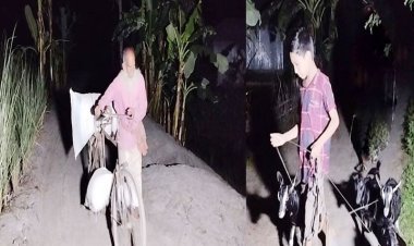 নিরাপদ আশ্রয়ের খোঁজে তিস্তাপাড়ের মানুষ