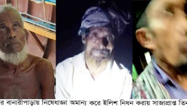 বানারীপাড়ায় নিষেধাজ্ঞা অমান্য করে ইলিশ  নিধনের অভিযোগে তিন জেলেকে কারাদন্ড