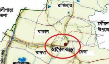 আগৈলঝাড়ায় গাছের নিচে চাপা পড়ে এক বৃদ্ধের মৃত্যু