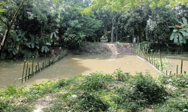 ডাসারে ব্রীজ নির্মাণে বাঁধা !! বিপাকে স্কুল কলেজের শিক্ষার্থীসহ হাজারও এলাকাবাসি