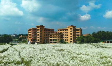 বাংলাদেশের ৩৩ তম সরকারি  বিশ্ববিদ্যালয় হলো বরিশাল বিশ্ববিদ্যালয়