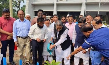 আগৈলঝাড়ায় মন্ত্রী আবুল হাসানাত আবদুল্লাহ নেতাকর্মীদের সাথে মতবিনিময় ও গাছের চাড়া রোপন করেন