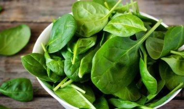 মস্তিষ্কের কর্মক্ষমতা বাড়ে কোন শাক খেলে?