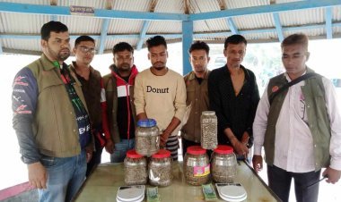 তালতলীতে ৩ কেজি ৩০০ গ্রাম গাঁজাসহ বাবা-ছেলে গ্রেপ্তার